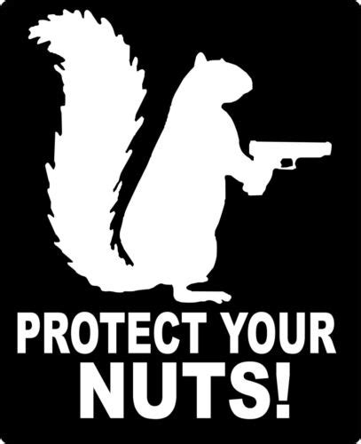 Protect Your Nuts Funny Squirrel Jdm Vinyl Decal Car Truck Window Ebay