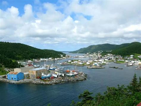 Roddickton Nl Moose Capital Of The World Newfoundland And Labrador Places To Go