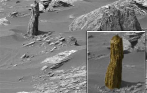 Existence Of Trees On Mars Alien Hunters Spot Possible