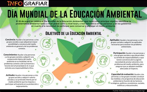 Día Mundial De La Educación Ambiental ¿cuáles Son Sus Principales