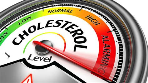 Tips To Manage Your Cholesterol Levels Smart Health Bay The Key To