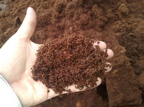 The Facts About Coco Coir Fibredust