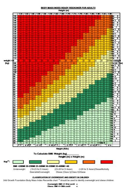 Adult Bmi Chart For Men