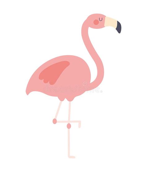 Pretty Pink Flamingo Stock Vector Illustration Of Cartoon 221061987