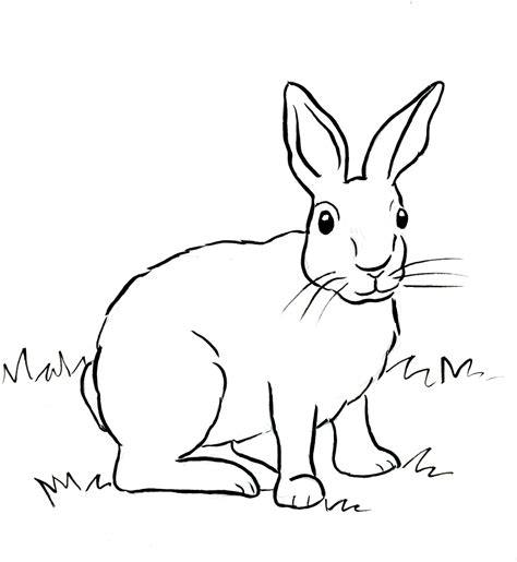Free Printable Bunny Coloring Pages Printable Word Searches