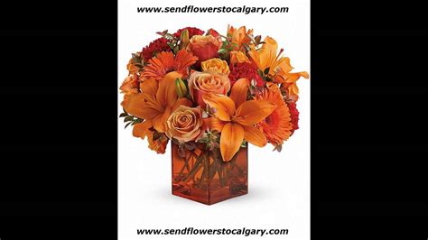 International holidays at a glance. can you send flowers to canada - YouTube