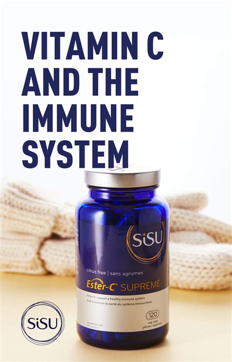 Vitamin C And The Immune System Everything You Need To Know Sisu