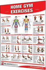Photos of Gym Fitness Exercises