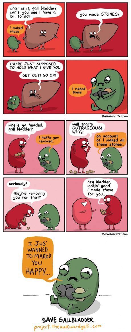 Gallbladder Gallstones Awkward Yeti Awkward Yeti Gallbladder Funny