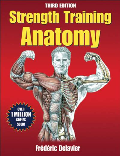 3d picture human body structure book anatomy science cognitive reading children early education books kids toys random cover. 10 Awesome Bodybuilding Books You Should Read