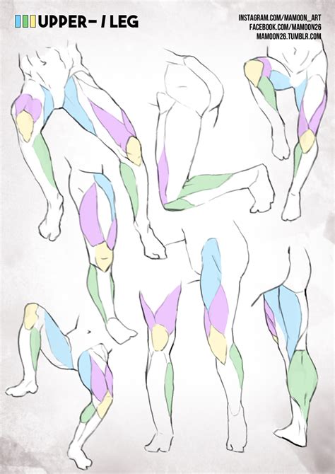 Simplified Anatomy 04 Male Leg By Mamoonart On Deviantart Human