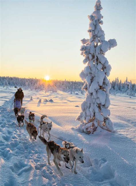 Best Things To Do In Lapland Activity Holidays Travel Uk