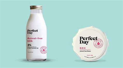 Milk products contain high quality proteins. Cold Pressed, Donkey or Cereal Milk? | The 2017 Milk Trends Causing a Dairy Dilemma | TheTaste.ie