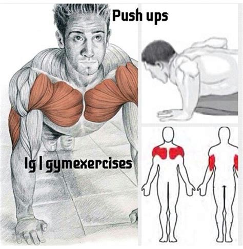 Push Ups Push Up Workout Chest Workouts Workout Programs