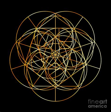 Fibonacci Spiral The Sacred Geometry Digital Art By Shawlin