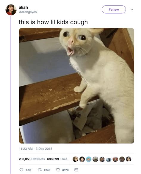 The Coughing Cat Is Maybe The Last Meme To Win The Internet Maybe
