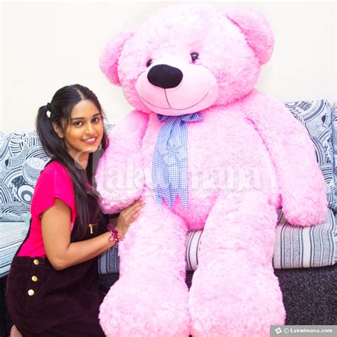 Best birthday gift for girlfriend in sri lanka. Send Life Size Teddy Bear To Loved one in Sri Lanka, Lakwimana