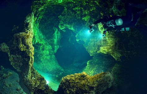 Ginnie Springs Florida Cave System Cave Diving Scuba Diving Ginnie