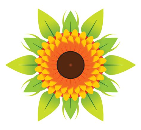 Collection Of Flowers Vectors Png Pluspng