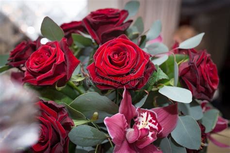Fresh Red Roses Orchids And Eucalyptus In The Arrangement Stock Photo