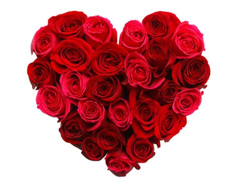 Related topics:14 de febrero feid. San Valentín: 14 curiosidades que no conocías de este 14 de febrero | F5 sección | EL MUNDO