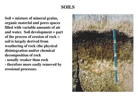 Ppt Soils Powerpoint Presentation Free Download Id645142