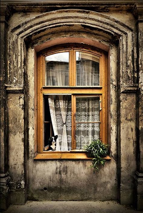 828 Best Fancy Windows Gates And Doors Images On Pinterest French