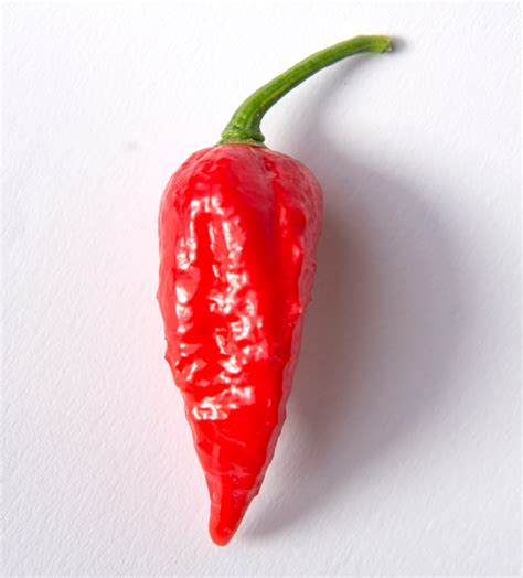 Hottest Chillies In The World The Scoville Scale In Pictures Life