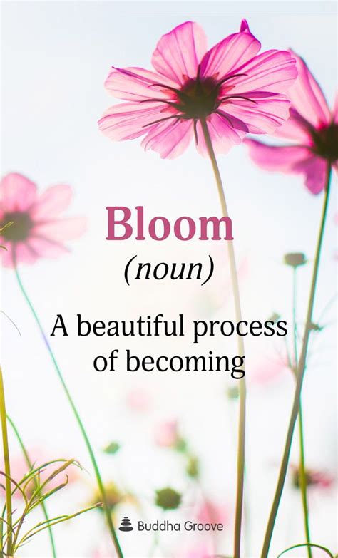 Bloom Noun A Beautiful Process Of Becoming Beautiful Flower