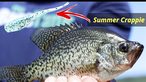 Favorite Bait Pattern For Summer Crappie Youtube