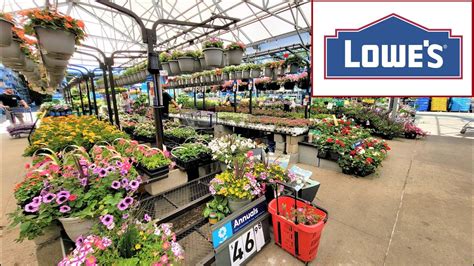Lowes Garden Center Current Inventory 50 Off Shade Trees And Fruit