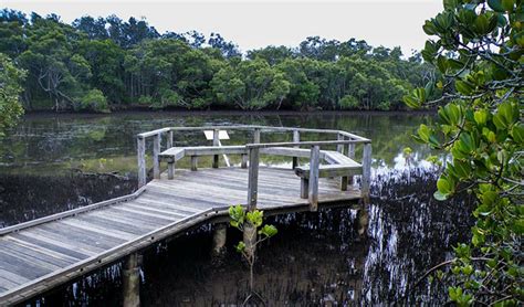 Walk On Water Walking Track Nsw Holidays And Accommodation Things To