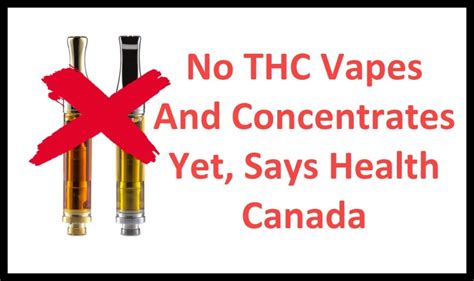 No Thc Vapes And Concentrates Yet Says Health Canada