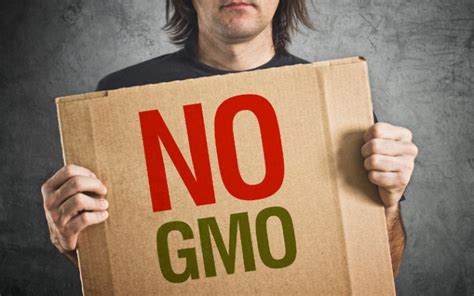 Eu Countries Given Legal Right To Ban Gmo Cultivation