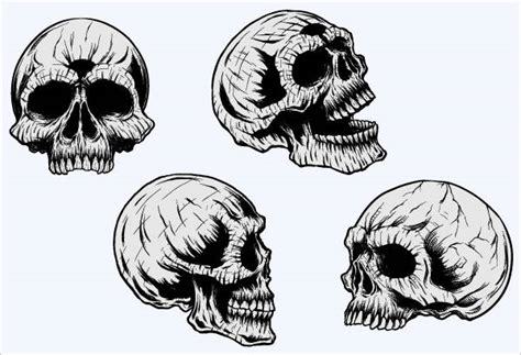 Free 7 Skull Cliparts In Vector Eps