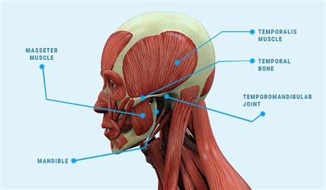 What Causes TMJ Pain & How is it Treated? | Holistic Dental