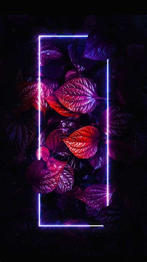 智能手机 紫色的 品红色 艺术 窗口 Iphone 6 6s 7 8 壁纸，750x1334 抽象 图片，桌面背景和图片。