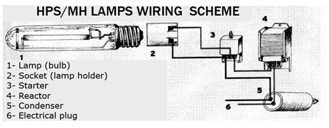 Hpsv lamp circuit diagram | hpmv lamp circuit diagram. Metal Halide Ballast Wiring Diagram - Wiring Diagram