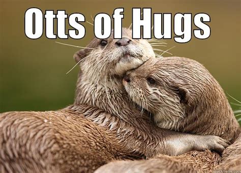 Otter Hugs Quickmeme