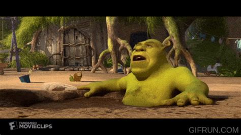 Best Shrek  Images Mk