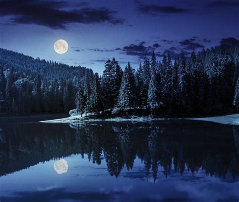 Pine Forest Near The Mountain Lake At Night — Stock Photo © Pellinni