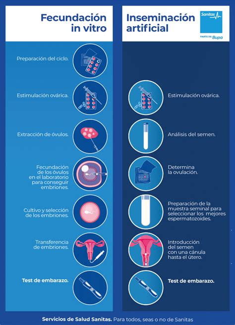 C Mo Es El Proceso De La Fecundaci N In Vitro Portal De Salud