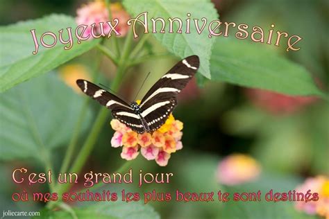 Cartes Virtuelles Anniversaire Souhaits Papillon Joliecarte Tatty Teddy Rose Nature Plants