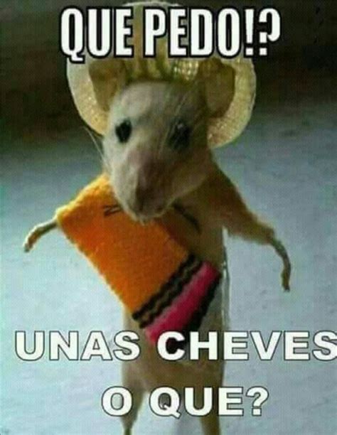 Selfies De Los Paisas Mexicanos Funny Rats Funny Mouse Hilarious