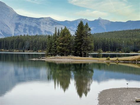 Green Pine Trees Near Lake · Free Stock Photo