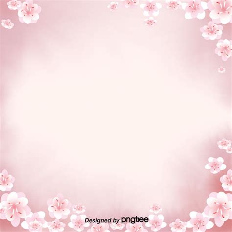 Simple Japanese Cherry Blossom Aesthetic Background Aestheticism