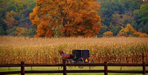 Ohio Amish Holmes County Parrott Tours