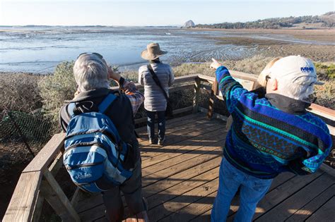 36 Hours In San Luis Obispo Calif The New York Times