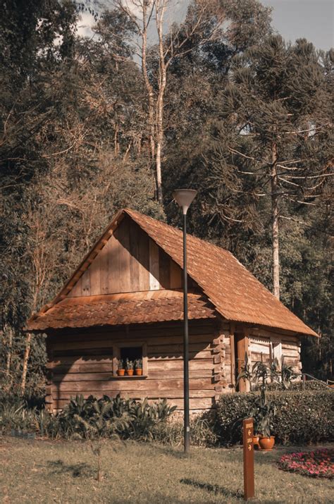 Brown Cabin Besides Green Trees Nohat Free For Designer