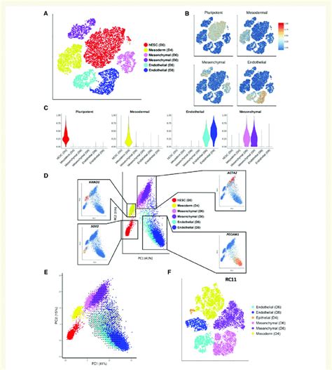 Single Cell Rna Sequencing Analysis Across All Time Points Mapping The